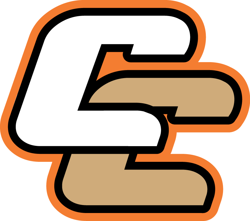 Canberra Cavalry 2010-Pres Secondary Logo iron on transfers for clothing